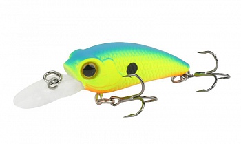 ������ Kutomi KAWA SPECIAL 40SP  F006