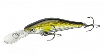 ������ Kutomi Killer SHSD 50SP G001