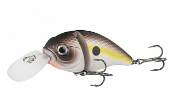 ������ Kutomi Bald-Crank  F009 15��. 60��.