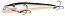 ������ Kutomi ASSASSIN F014 105mm 007