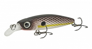 ������ Kutomi DEEP DRIFT 55SS  F009