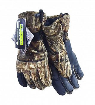 �������� CONDOR �������� Super-TEX ��� ������ L