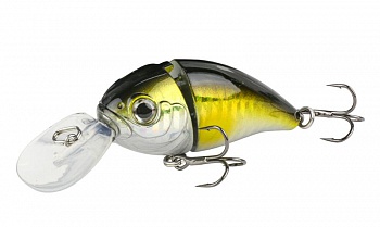 ������ Kutomi Bald-Crank  G001 15��. 60��.