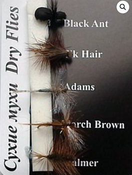 ����� ����� -����� ���� (5��)