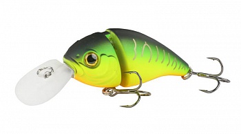 ������ Kutomi Bald-Crank  F004 15��. 60��.