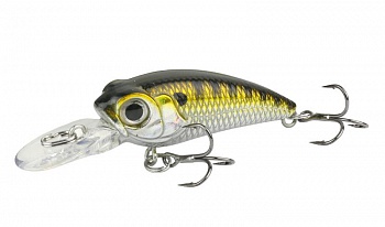 ������ Kutomi KAWA SPECIAL 40SP  G005