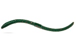 ������ ������. ����� AKKOI Live 120mm D052 ����.6��.