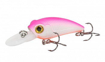 ������ Kutomi KAWA SPECIAL 40SP  F007