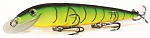 ������ Kutomi RIPPLE F004 130mm 007