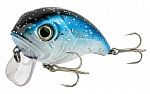  FW WIDE-BOY F 60mm 13g 0-0.5m #010
