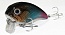 ������ FW WIDE-BOY F 60mm 13g 0-0.5m E002