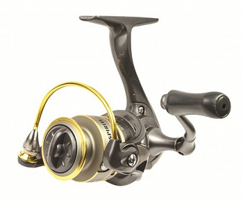������� RYOBI SPIRITUAL DX500