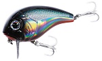  FW WIDE-BOY F 60mm 13g 0-0.5m G003