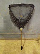 �������� �����. ������ ����� ���� �������� 1.8� 40��