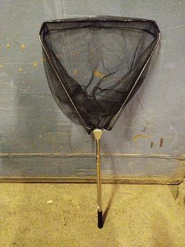 �������� �����. ������ ����� ���� �������� 1.8� 40��