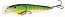 ������ Kutomi ASSASSIN F004 105mm 007