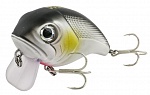  FW WIDE-BOY F 60mm 13g 0-0.5m #009
