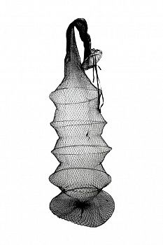 ����� ������ (4�) d. 20�m ����� 75cm