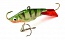 �������� 38_26��. 15��. Fluo