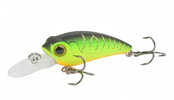 ������ Kutomi KAWA SPECIAL 40SP  F004