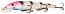 ������ Kutomi RIPPLE F016 130mm 007