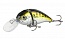 ������ Kutomi Bald-Crank  G005 15��. 60��.