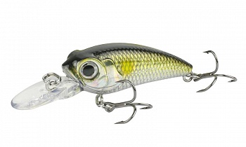 ������ Kutomi KAWA SPECIAL 40SP  G001