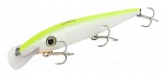 ������ FW CHASE F 120mm 12g 1.5-2m F007
